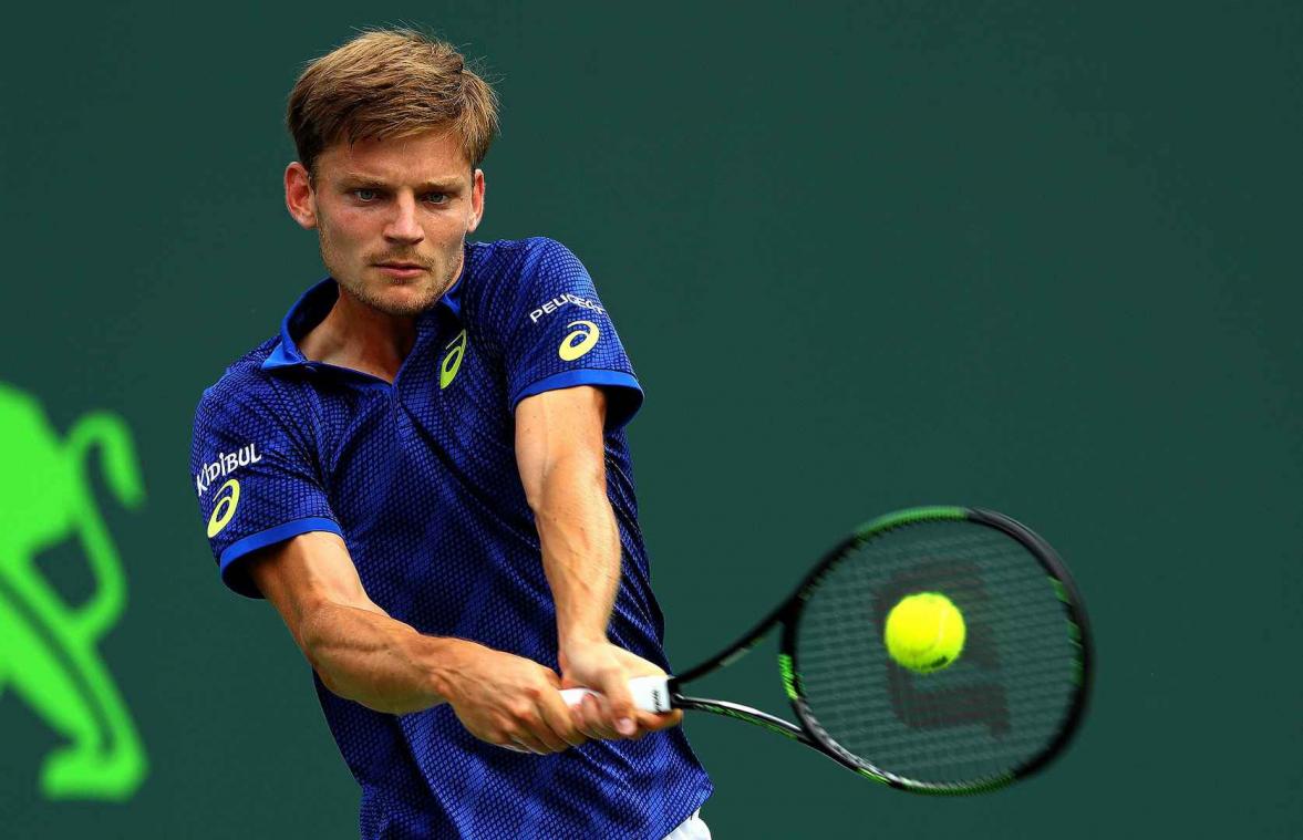 Goffin heeft top tien in zicht