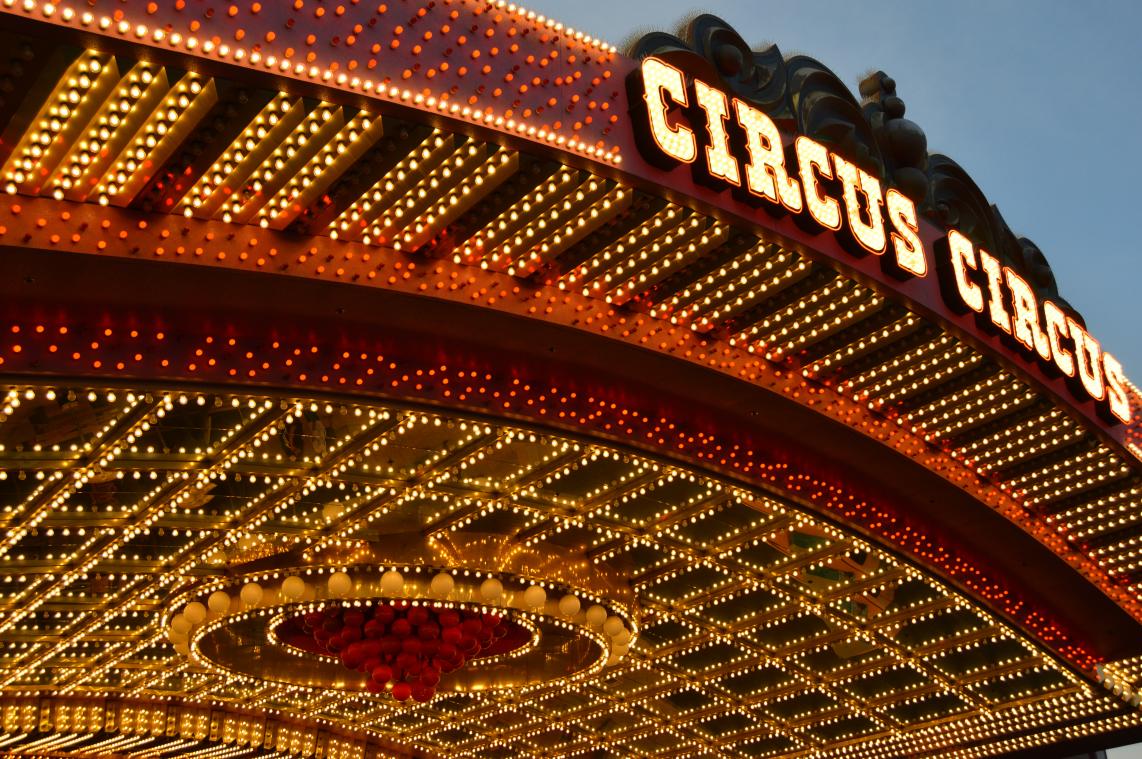 Duits circus vervangt dieren door hologrammen