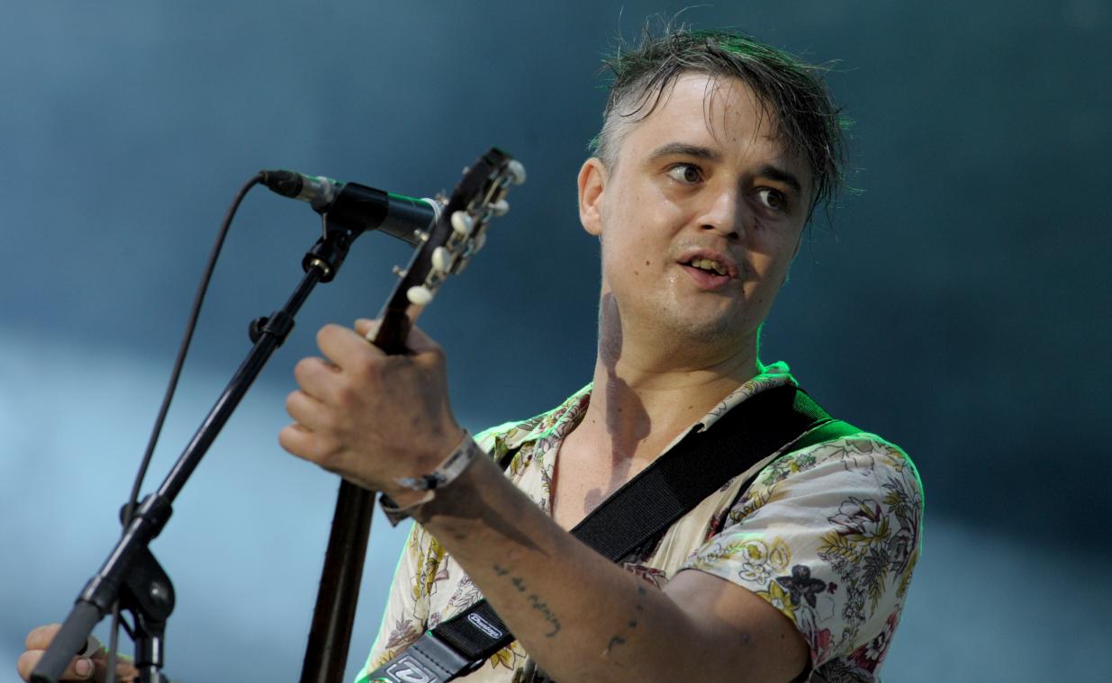 Pete Doherty opgenomen in het ziekenhuis na incident met egel