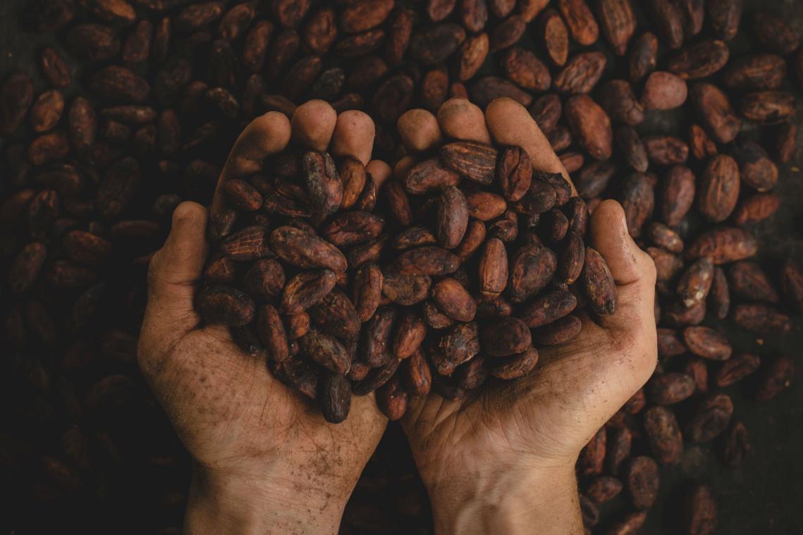 Ontdek de voordelen van donkere chocolade