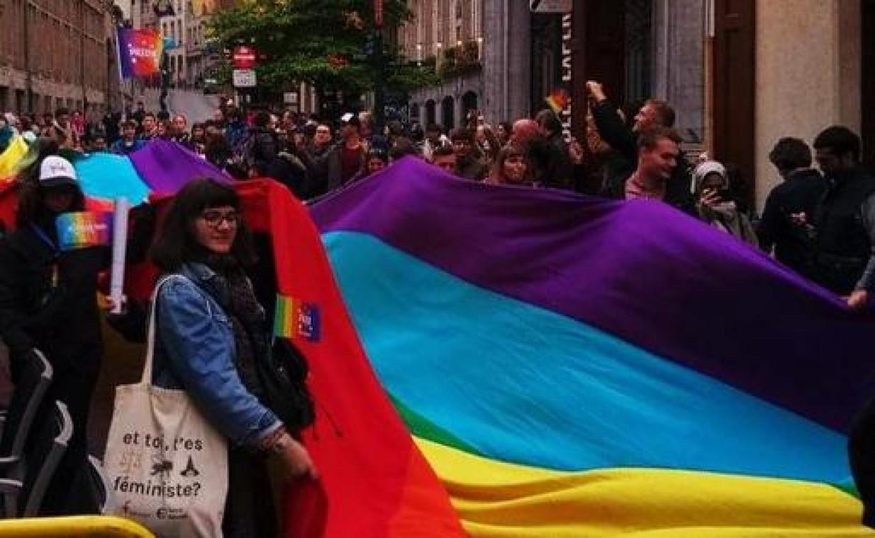 Ruim 200 deelnemers aan aftrap van Belgian Pride Festival in Brussel