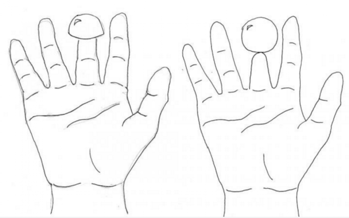 Waarom je vinger korter voelt als je er een halve pingpongbal op legt