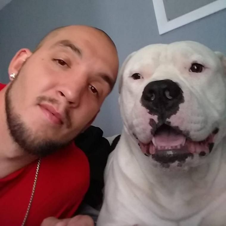 Man wil auto verkopen om operatie hond te betalen