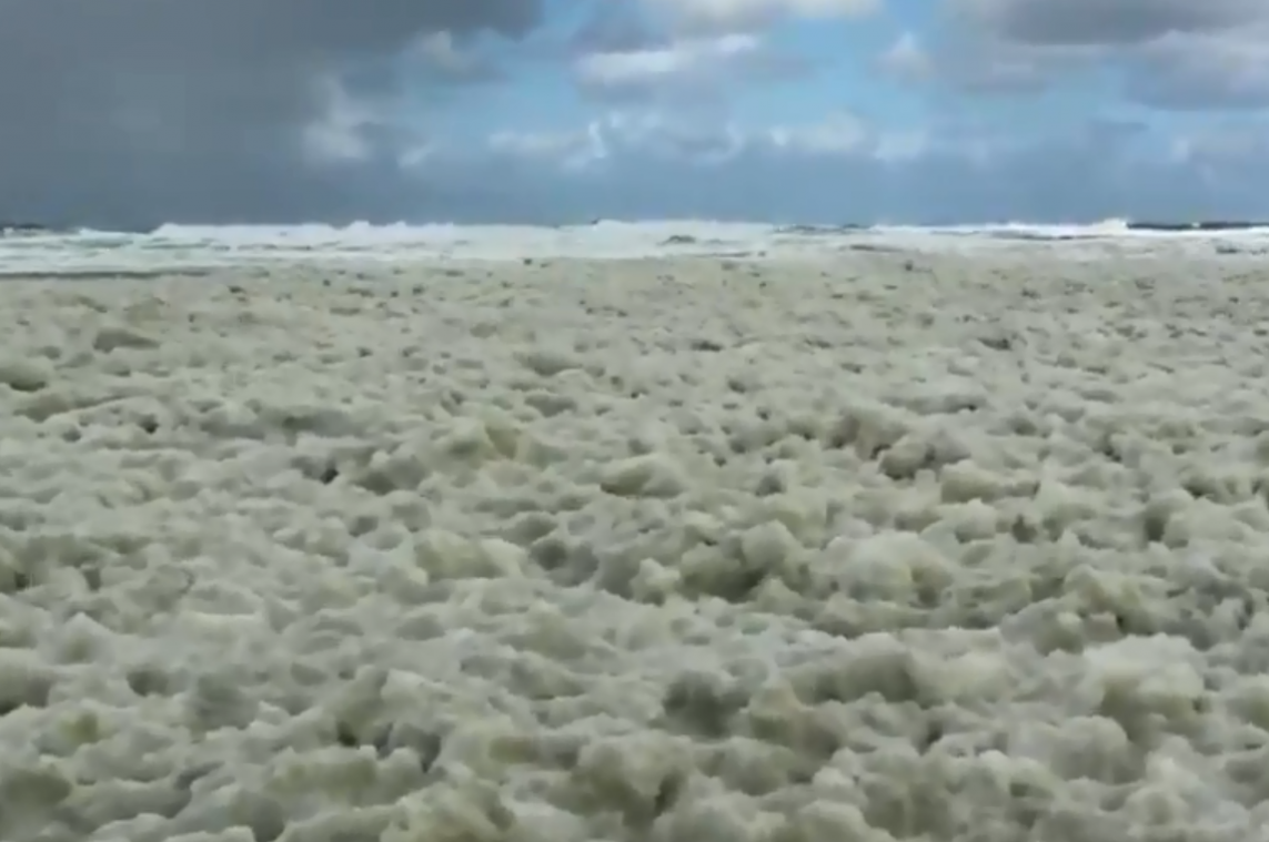 VIDEO. Bijzondere "schuimparty" op strand Wenduine