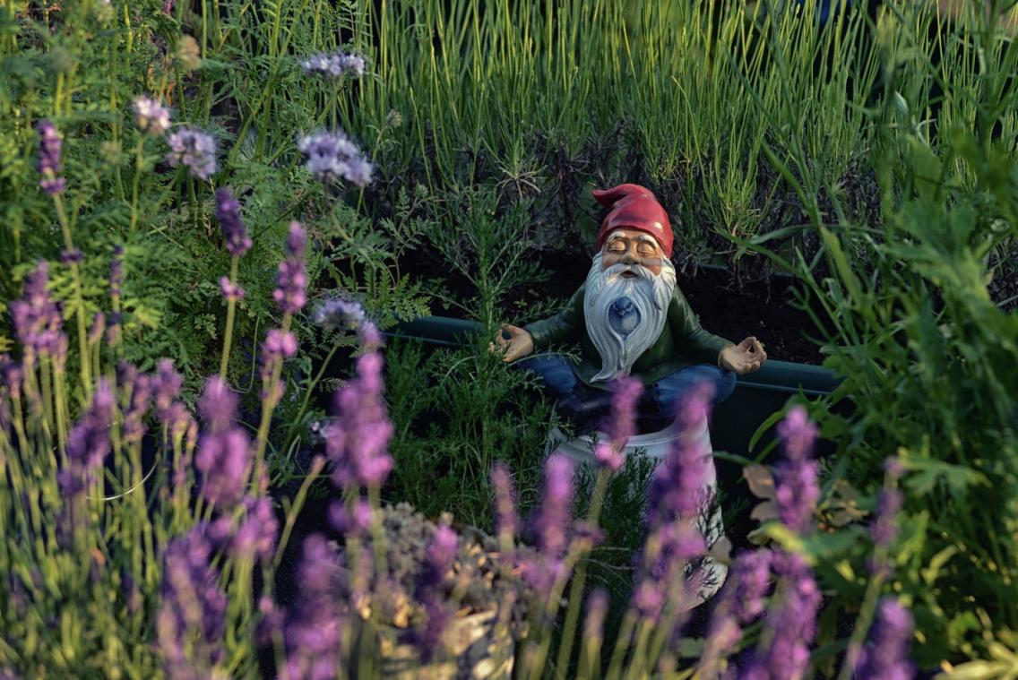 Dame op leeftijd steelt tuinkabouters en bloempotten voor in haar eigen tuin