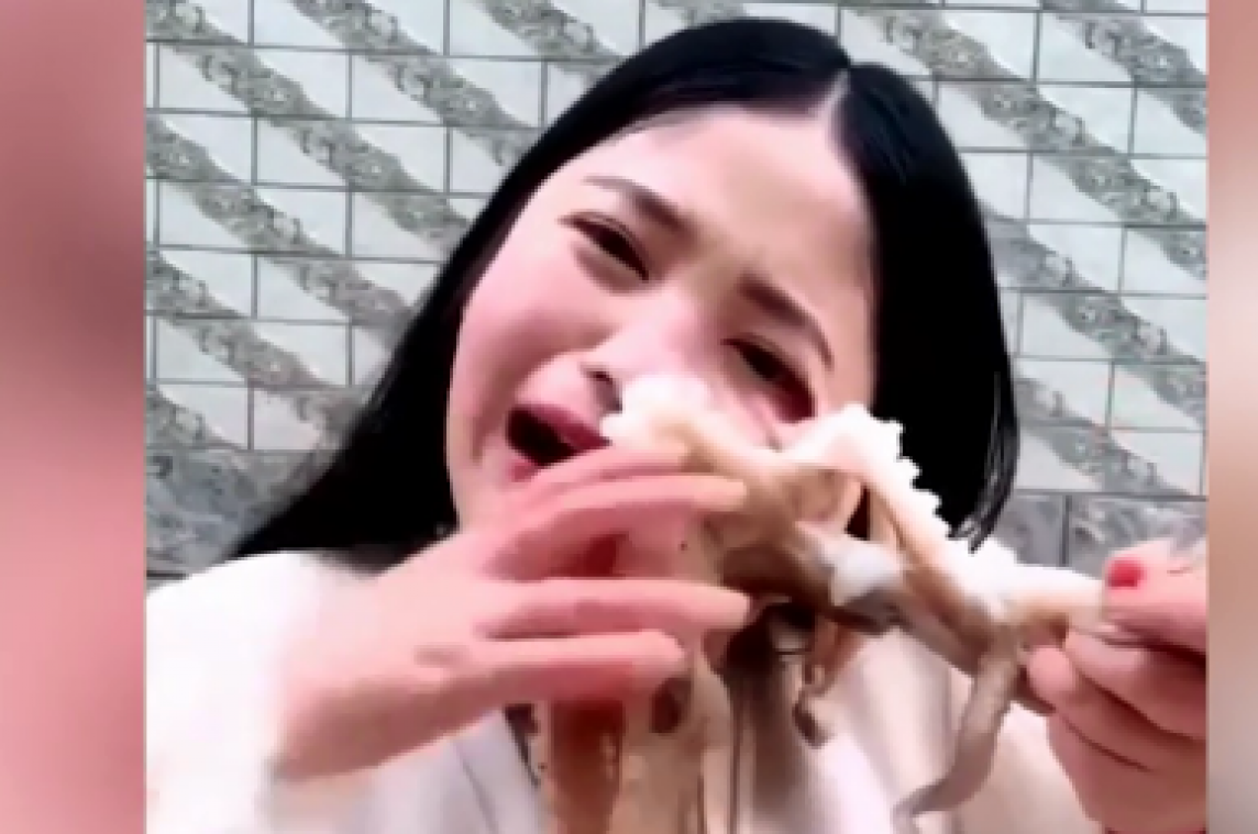 VIDEO. Vlogster wil levende octopus eten, maar krijgt lik op stuk