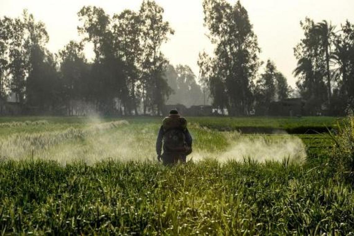 Europese Commissie buigt voor pesticidelobby