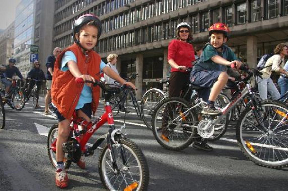 Ruim helft leerlingen slaagt voor Grote Verkeerstoets