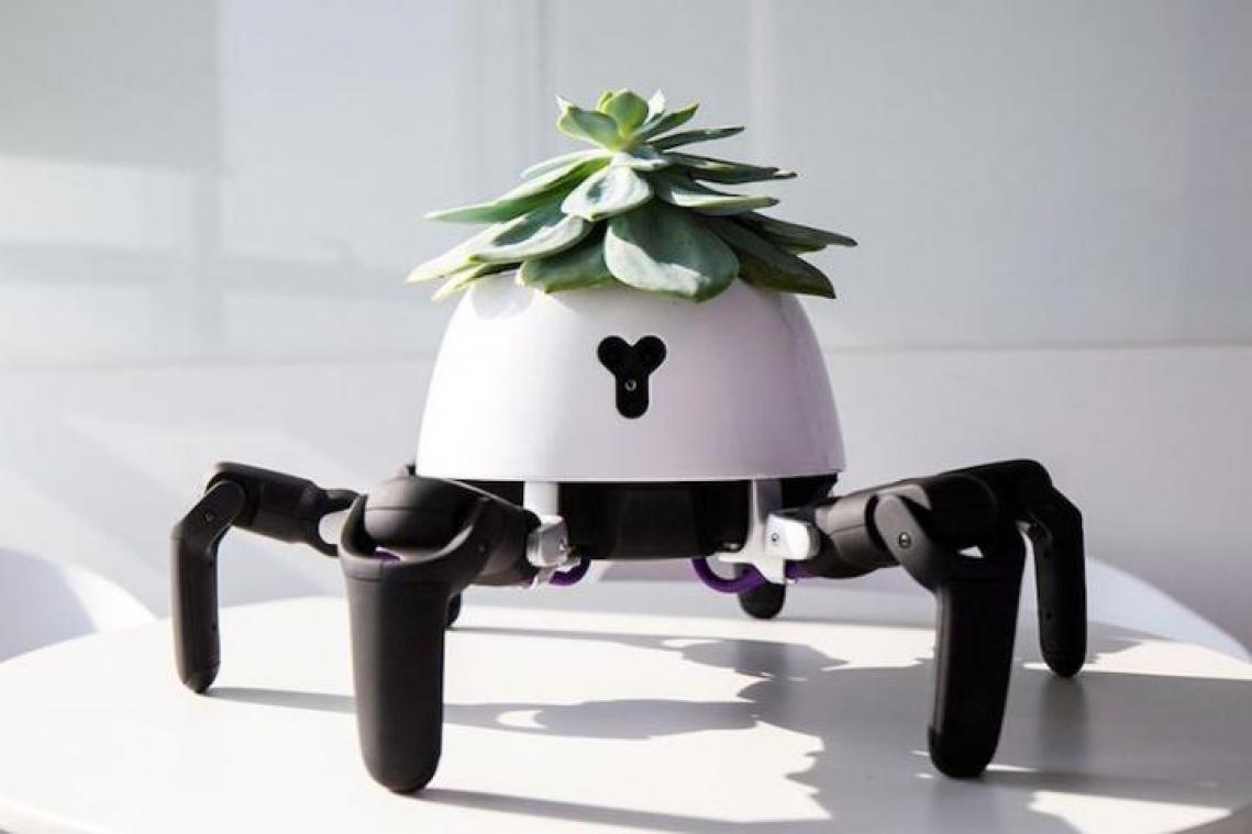 Bizar. Deze robot zorgt ervoor dat je planten overleven