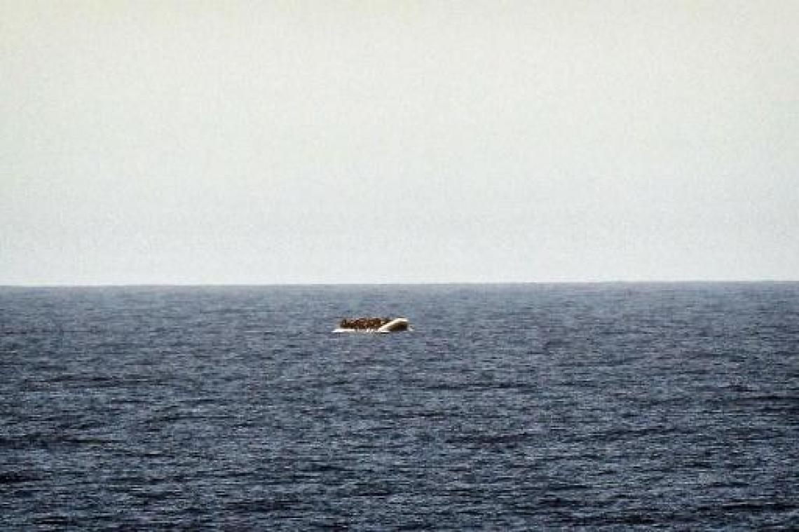 Zeker 70 migranten verdrinken nadat boot zinkt voor Tunesische kust