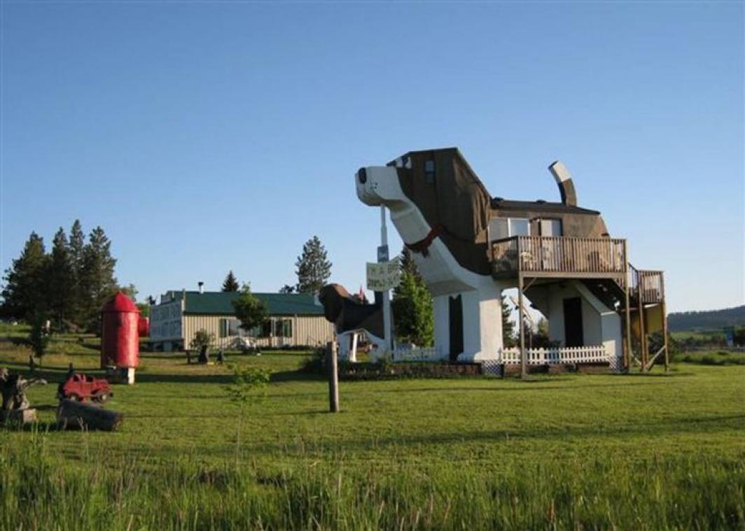 Woef. Deze Airbnb heeft de vorm van een hond