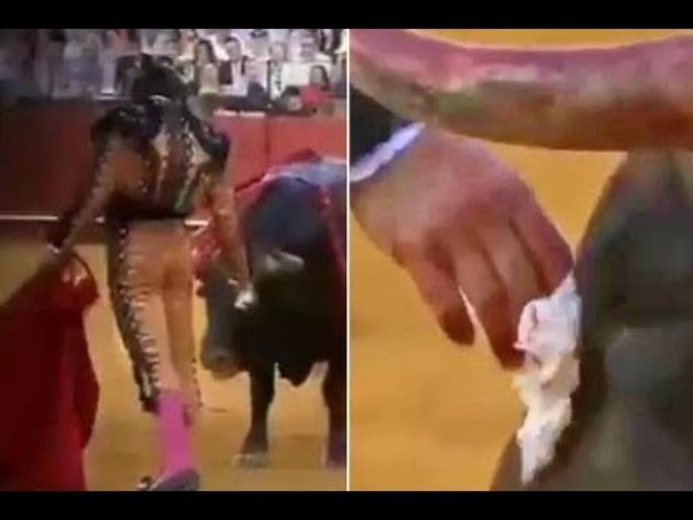 VIDEO. Matador krijgt kritiek nadat hij tranen van stier wegveegt