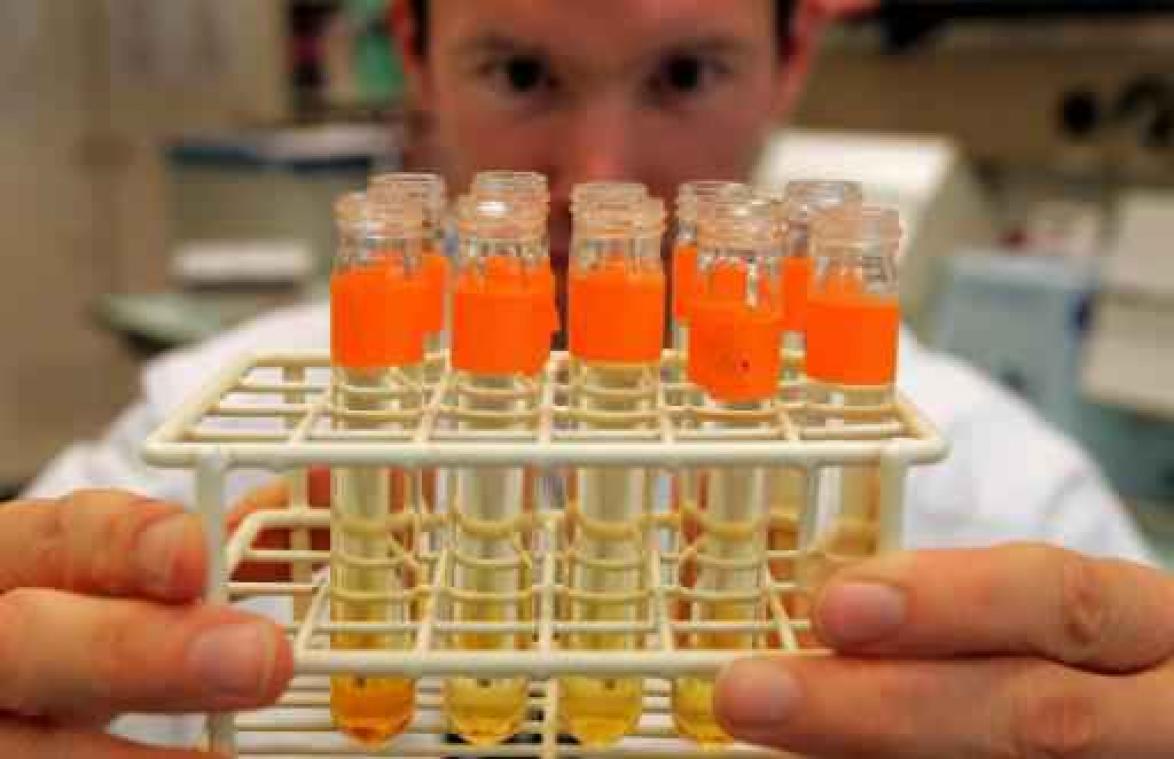 "Britse dokter dopeerde 150 topsporters"