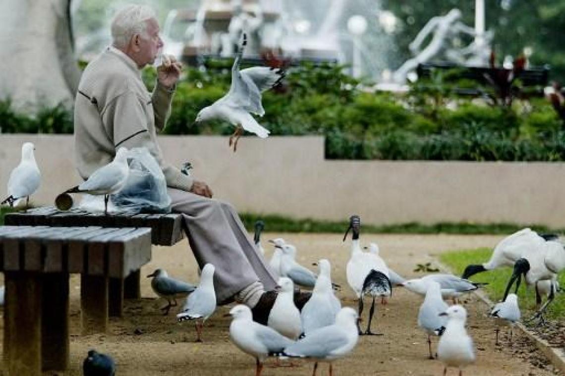 "Plan De Wever is pensioendarwinisme"