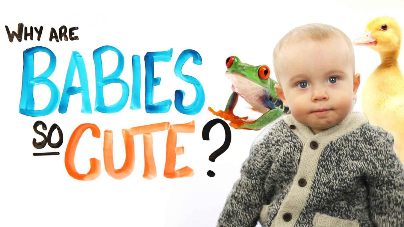 Wat maakt baby's nu precies zo schattig?