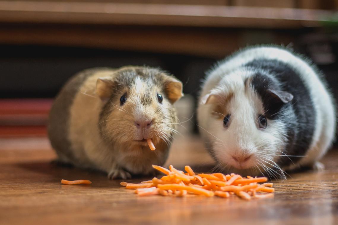 Samen eten is even belangrijk voor goede relatie als seks