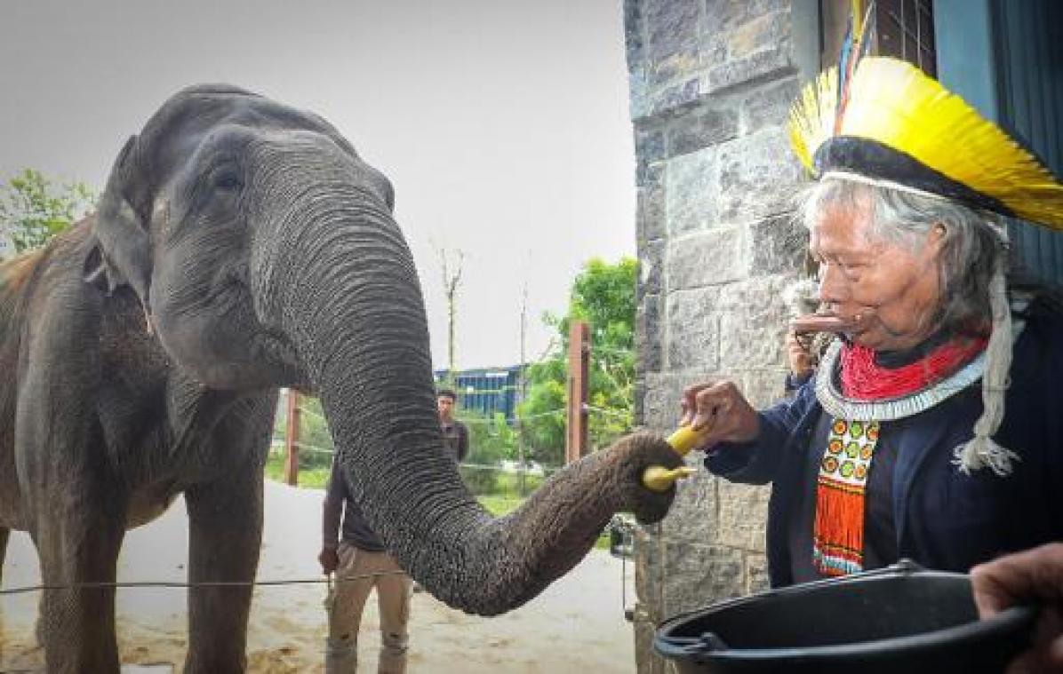 Indianenchef Raoni bezoekt park Pairi Daiza en krijgt steun