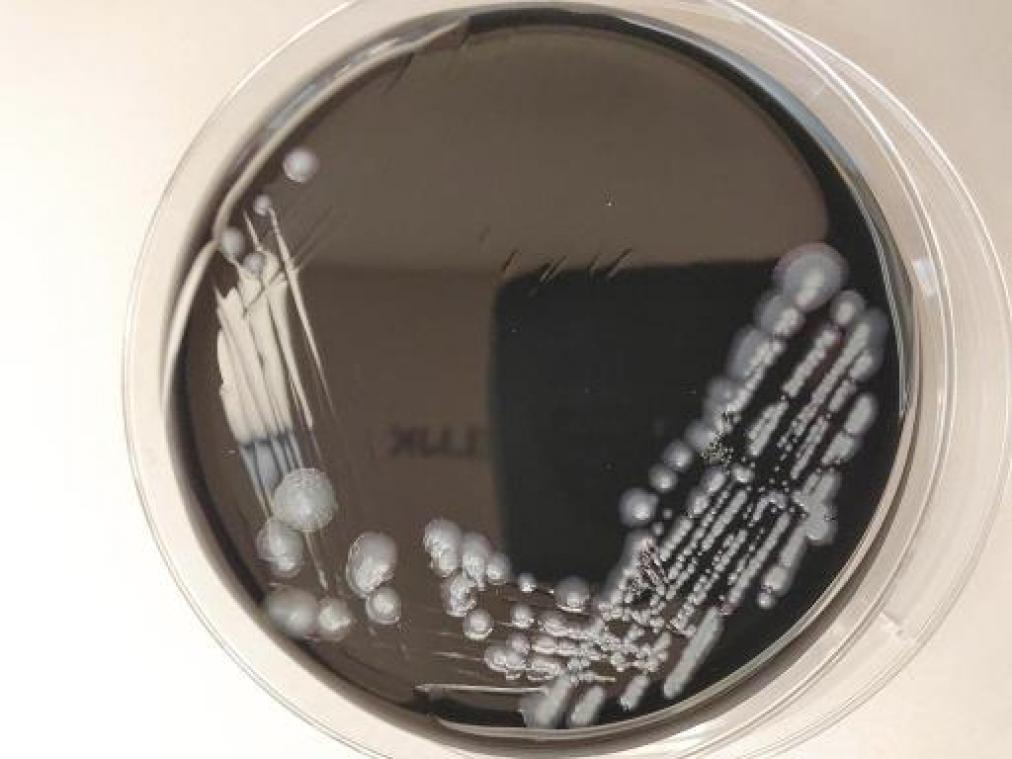 Aantal legionella-slachtoffers loopt op tot 25