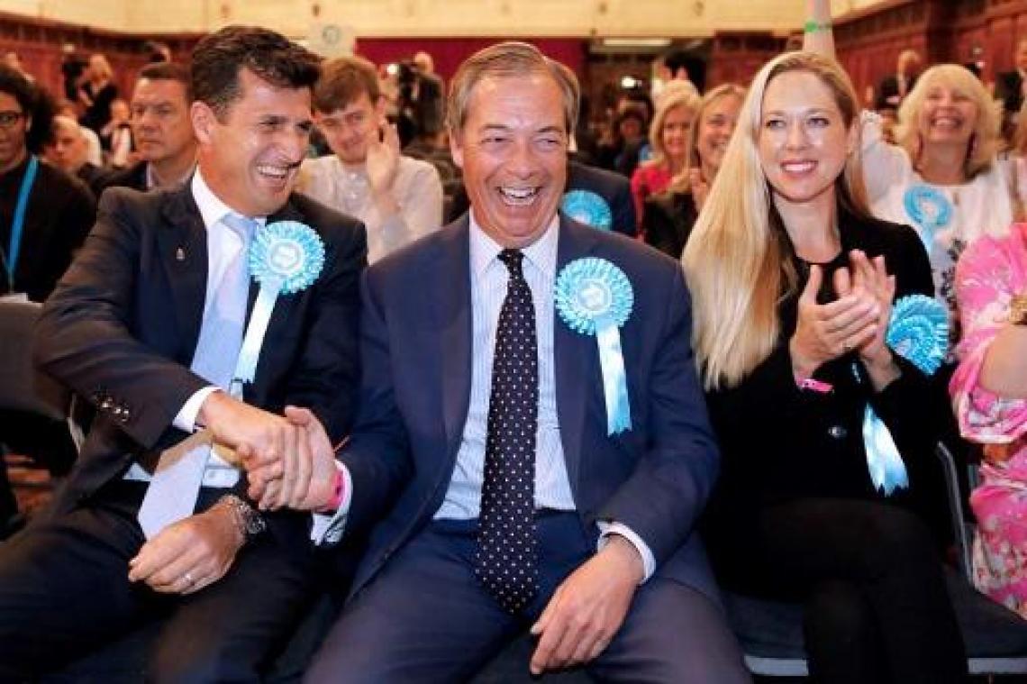 EUROPA: Brexit Party en CDU grootste nationale partijen in Europees Parlement