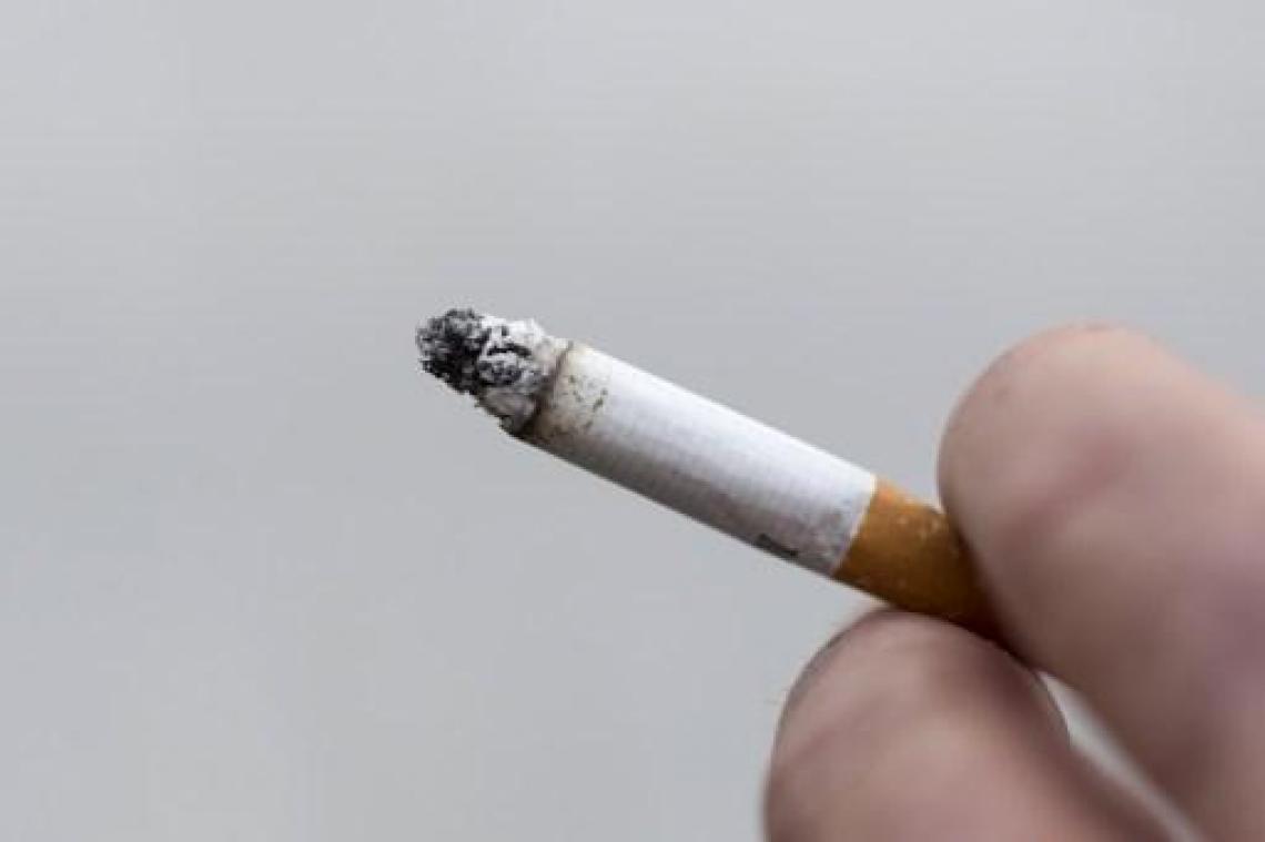 Parijs verbiedt roken in 52 parken en publieke tuinen