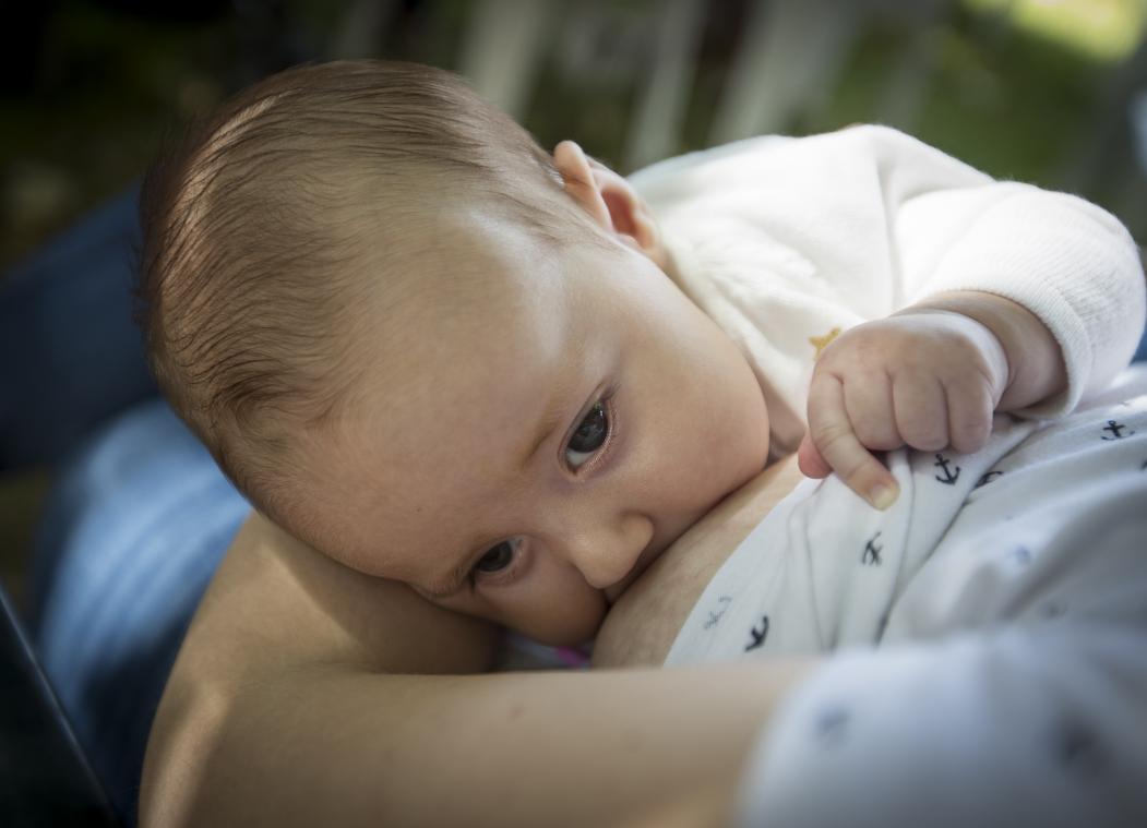 Bewezen: Flesvoeding is geen probleem voor pasgeboren baby's