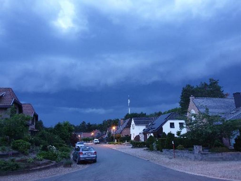 Noodweer - Vooral omgewaaide bomen bij onweersbuien in Limburg