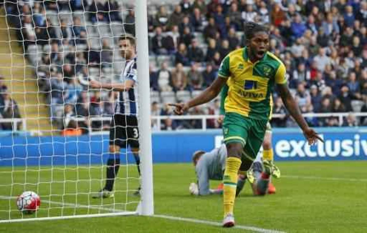 Dieumerci Mbokani stopt als Congolees international