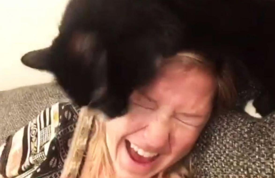 VIDEO. Kat valt haar baasje aan elke keer als ze zingt
