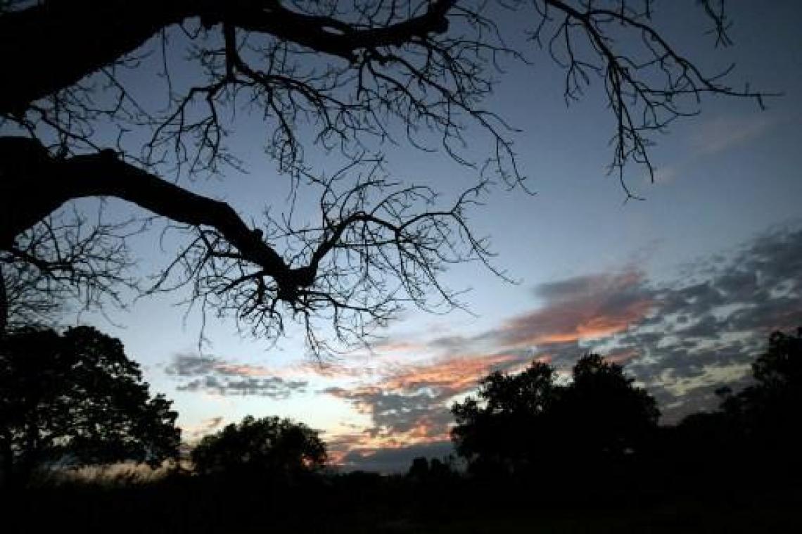 Bouw gestart van controversiële dam in Tanzaniaans reservaat