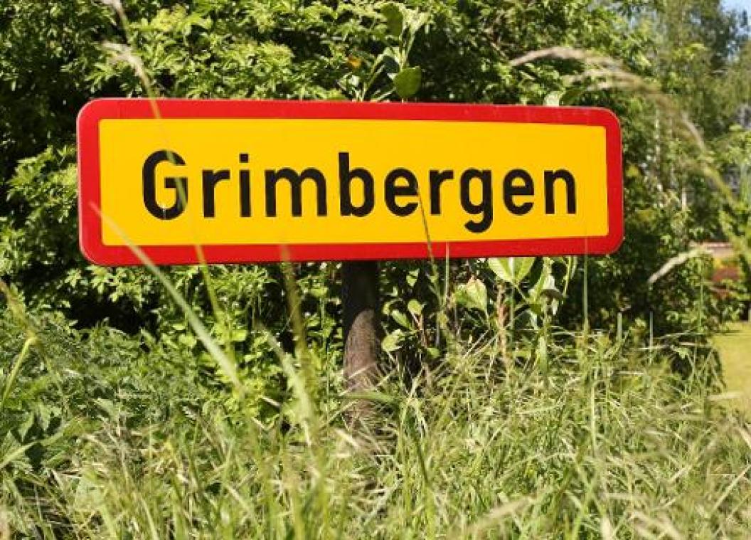 Groen Grimbergen voert actie tegen plannen gemeentebestuur om 101 bomen te kappen