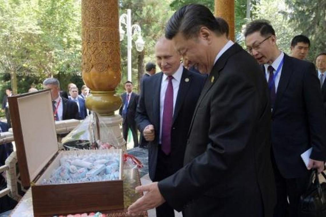 Xi krijgt Russische ijsjes als verjaardagscadeau van Poetin
