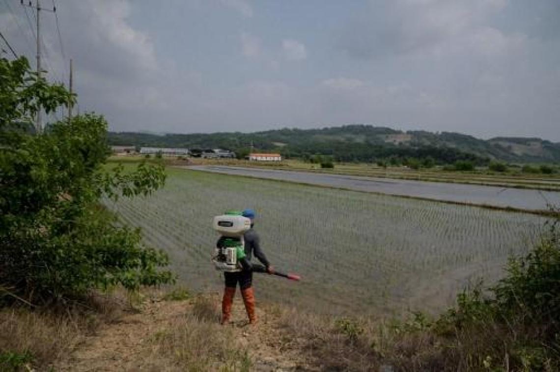 Seoel stuurt 50.000 ton rijst naar Noord-Korea