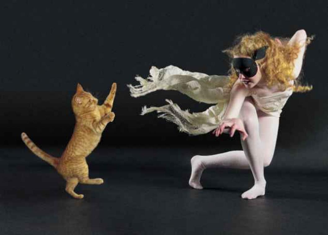 Dancing with cats: de mooiste voorbeelden