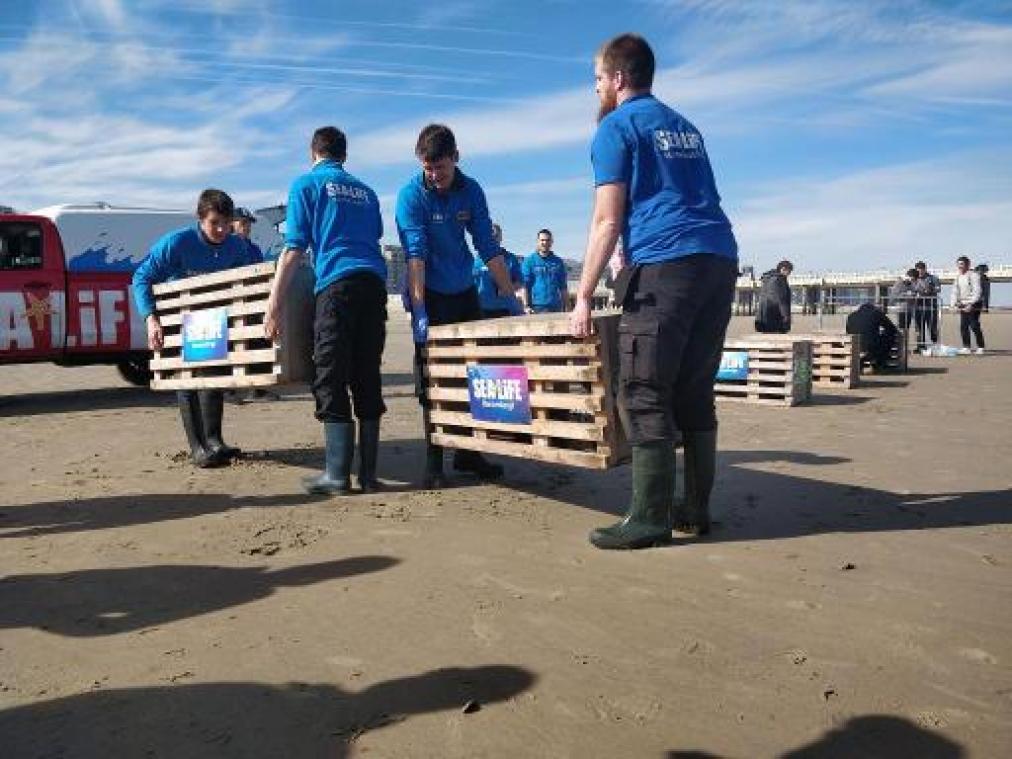 Laatste zieke zeehonden uit Sea Life Blankenberge vrijgelaten