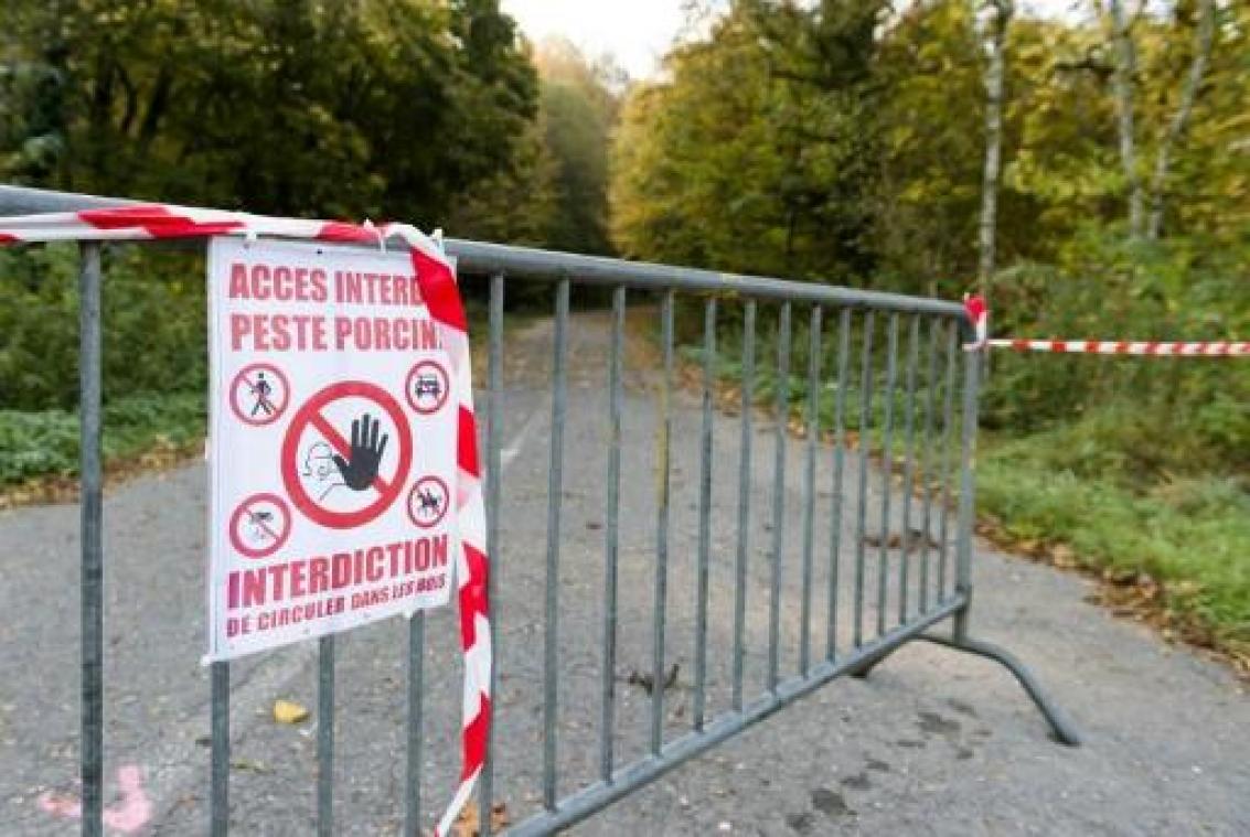 Afrikaanse varkenspest "is geen afgesloten verhaal"