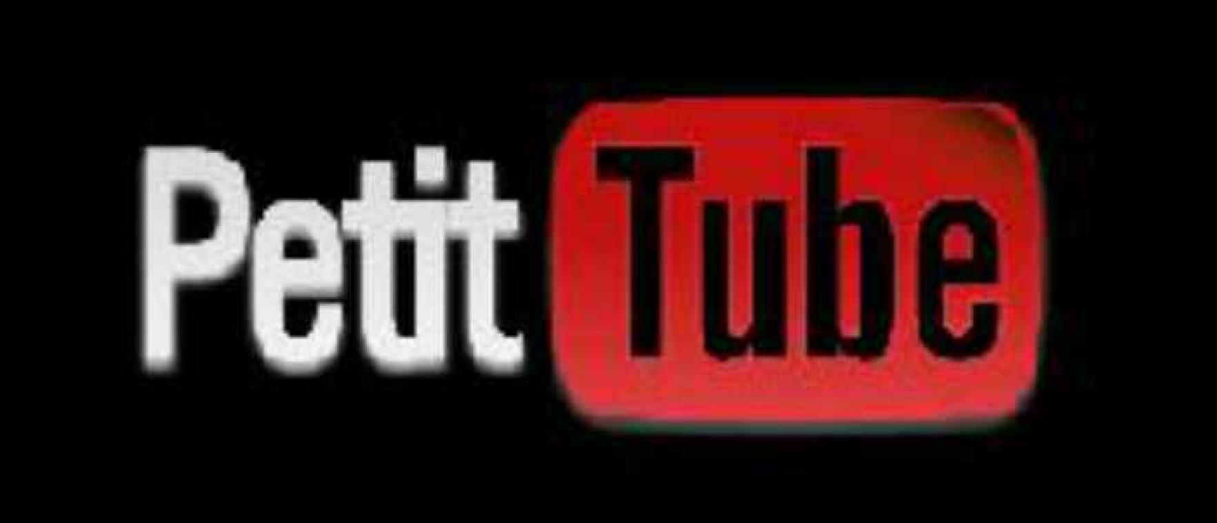 Dit zijn de YouTubefilmpjes waar geen hond naar kijkt