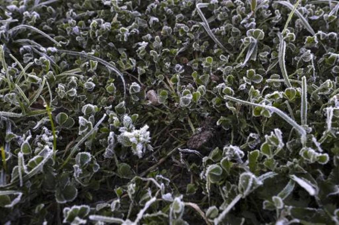 Vorst aan grond in oosten van Nederland