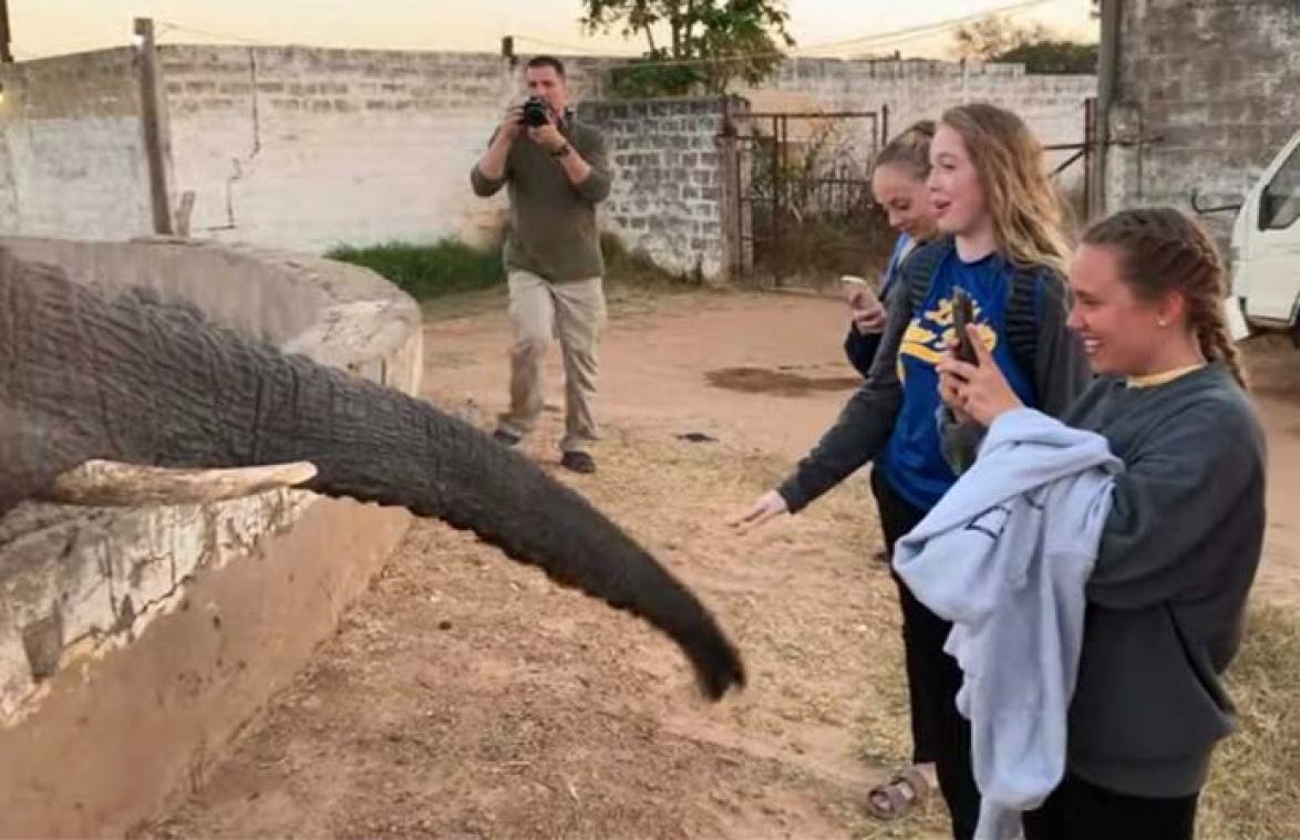 VIDEO. Meisje maakt foto's van olifant, maar die antwoordt met een STEVIGE tik