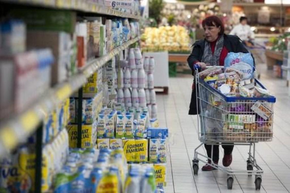 Belgische supermarkten verkochten melkproducten van mishandelde koeien
