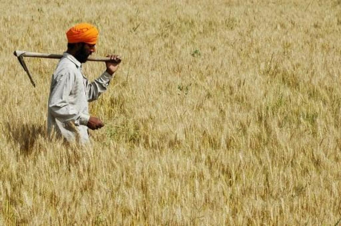 Meer dan 820 miljoen mensen in de wereld lijden honger