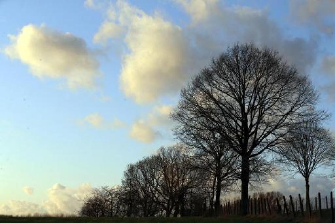 Zonnig weer op woensdag, maar donderdag kans op regen