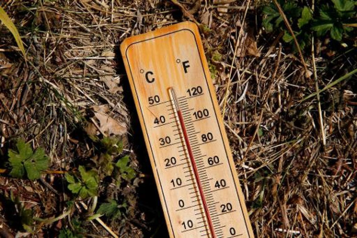 Nieuw nationaal record: 40,6 graden in Kleine Brogel