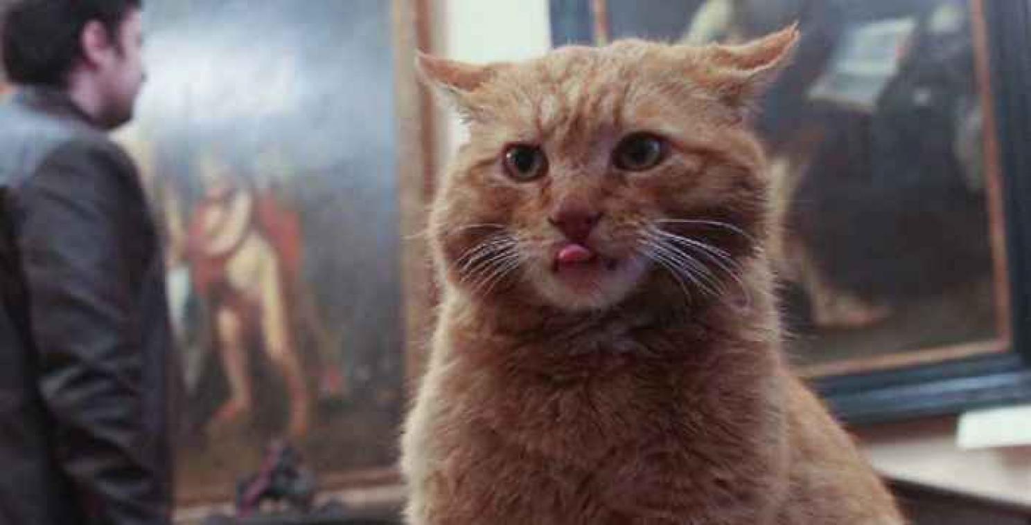 Russisch museum neemt kat in dienst na aprilgrap