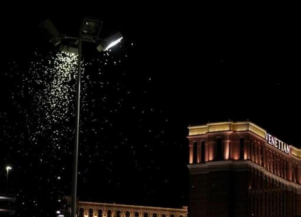 Zwerm sprinkhanen overspoelt Las Vegas