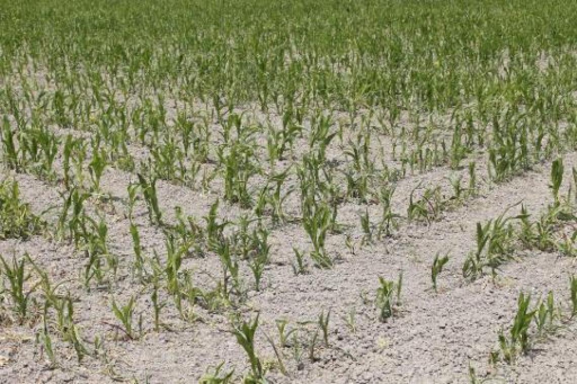 "Problemen voor landbouwers niet voorbij, snel maatregelen nodig"