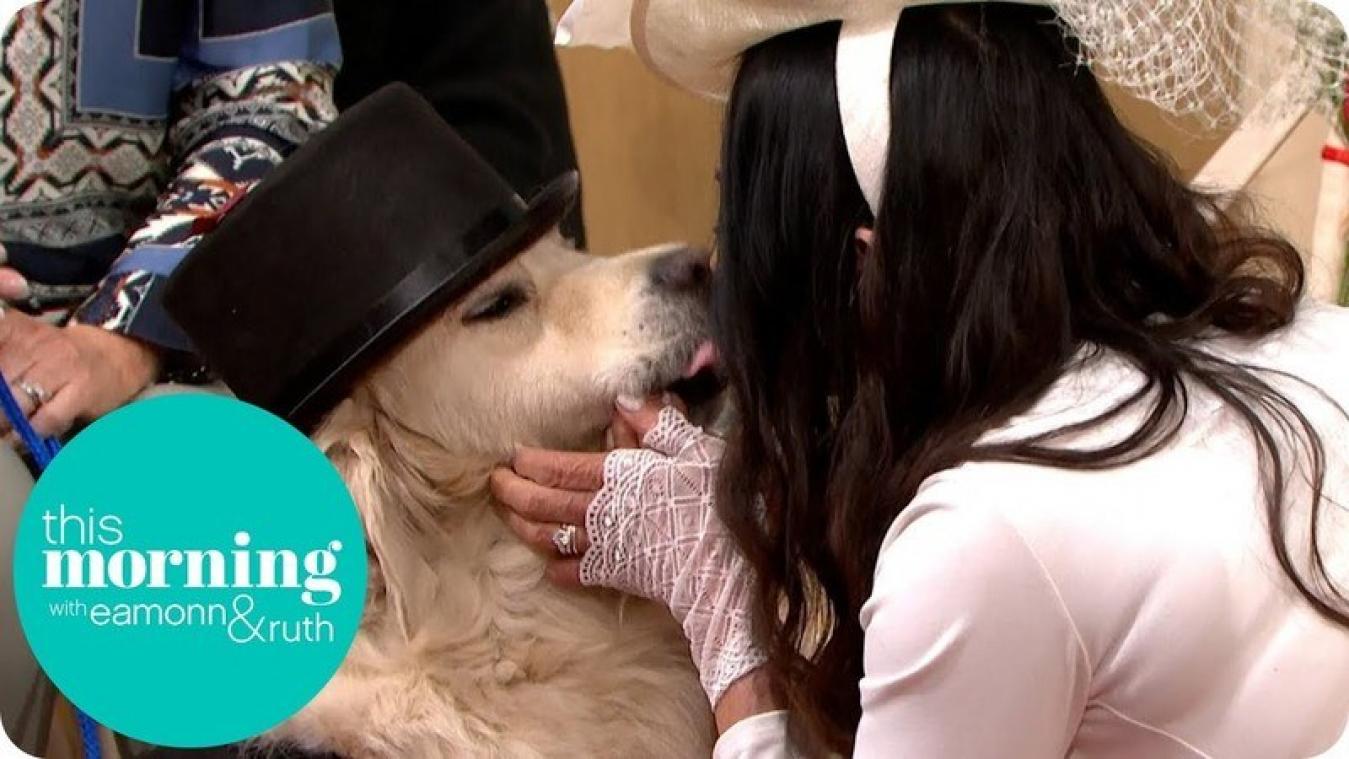 VIDEO. Brits model is mannen beu en trouwt met haar hond