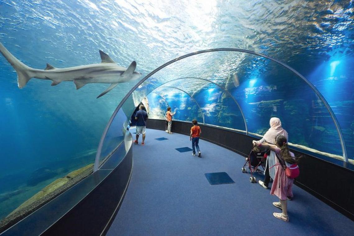 CHECK-IN. Boulogne-sur-Mer: als een vis in het water