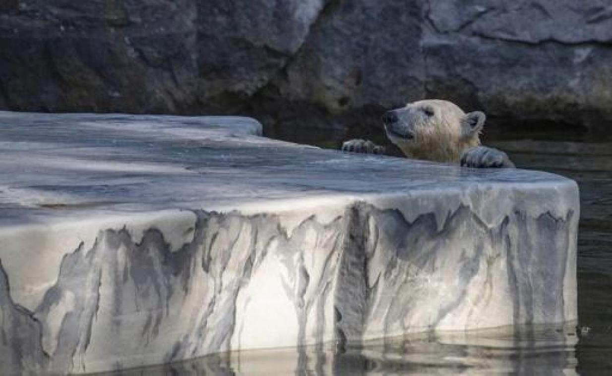 Zonder klimaatverandering was hittegolf juli 1,5 tot 3 graden koeler uitgevallen