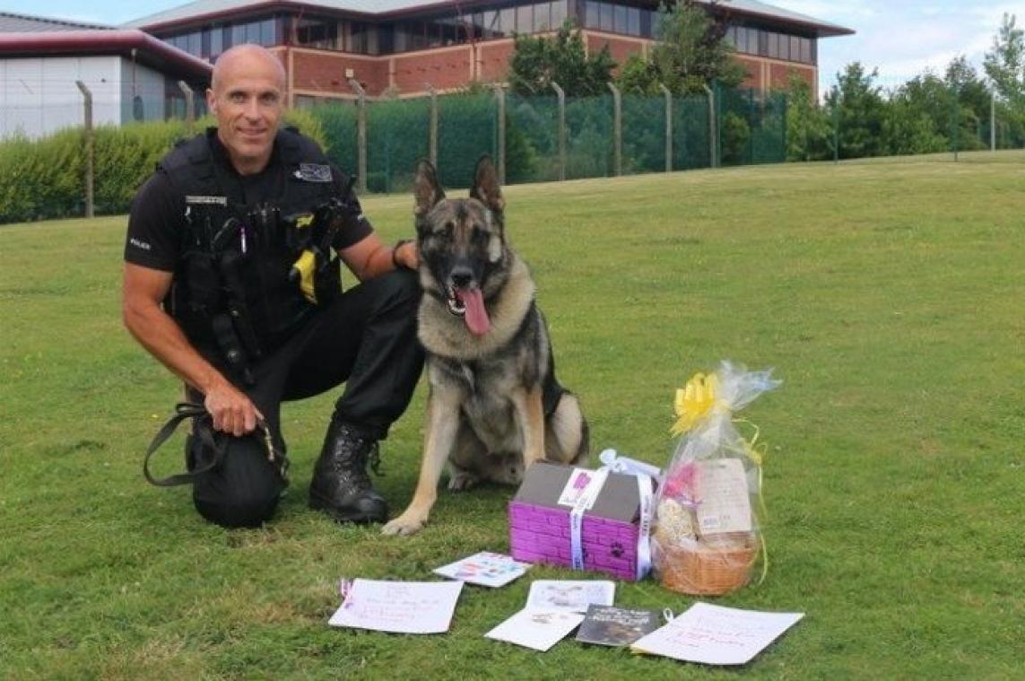 BIZAR. Eerste gevangenisstraf ooit voor mishandeling politiehond
