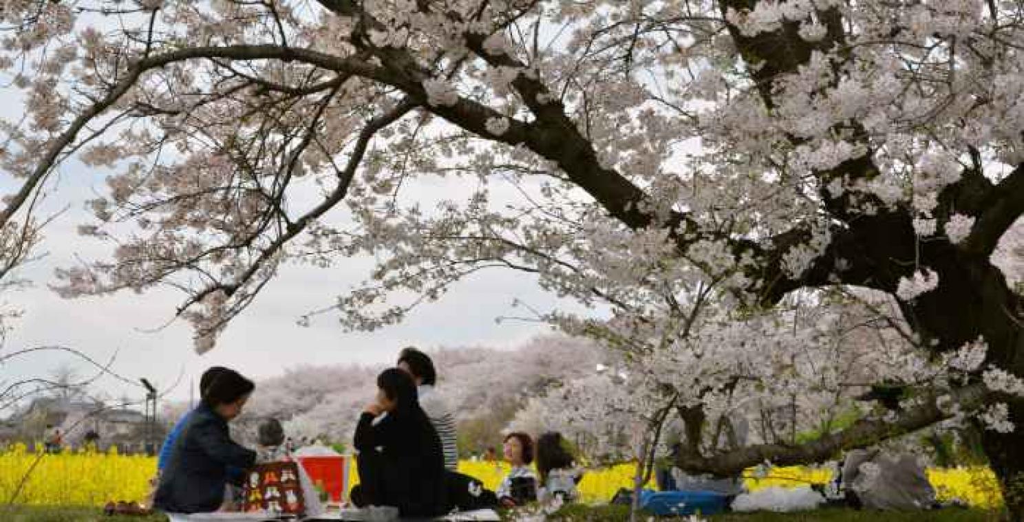 Japan wil aparte zones voor Chinese toeristen